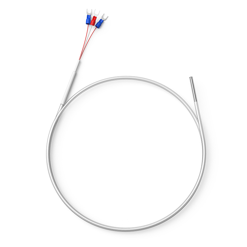 鐵氟龍熱電阻12_http://m.xpnqm.cn_溫度儀表_第1張