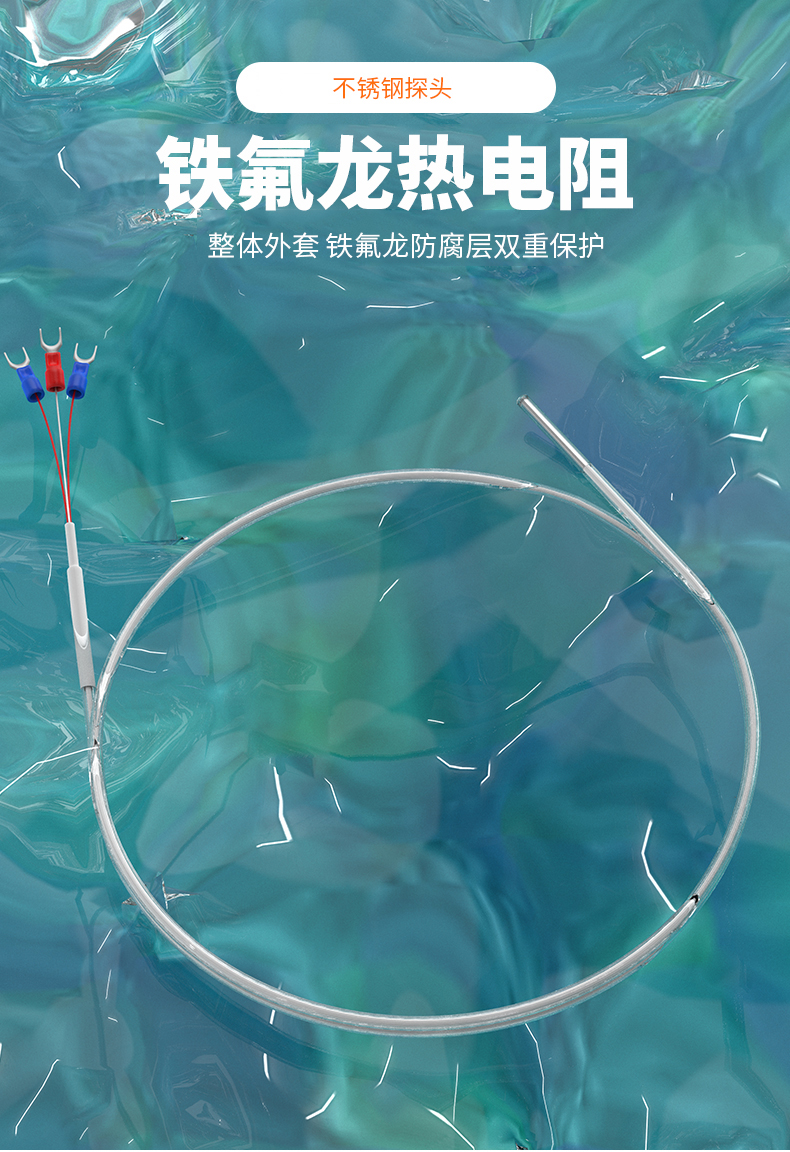 鐵氟龍熱電阻12_http://m.xpnqm.cn_溫度儀表_第4張